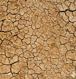 terre aride sécheresse
