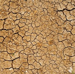 terre aride sécheresse