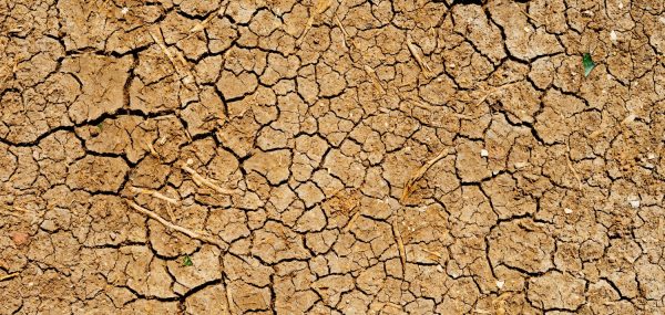 terre aride sécheresse